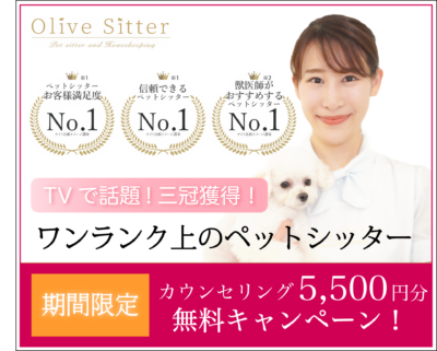 犬に噛まれたときの対処は 何科にいけばいいの Olive Sitter