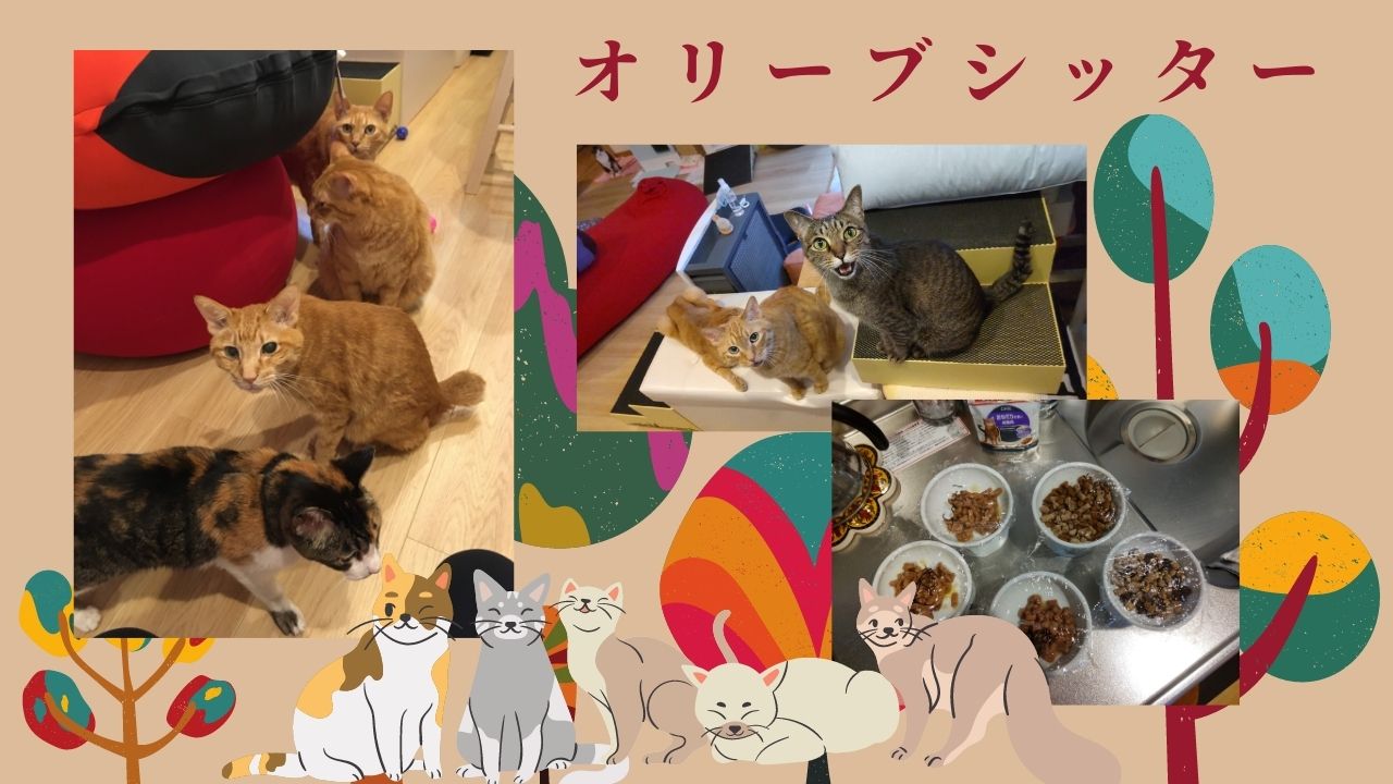 いつまでも若々しい猫さんたち｜渋谷区ペットシッター