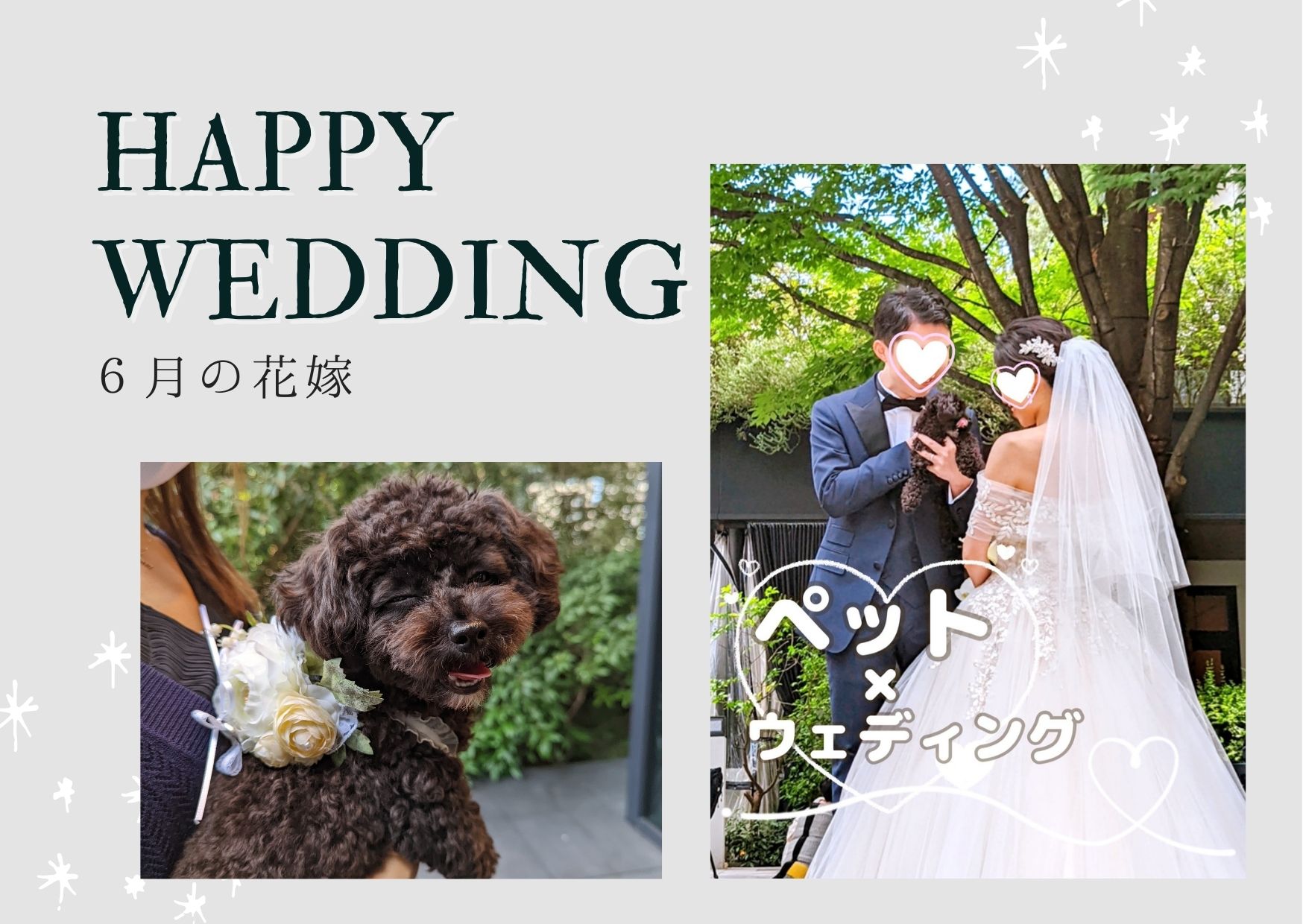 東京での結婚式、愛犬も主役に✧リングドッグペットシッター