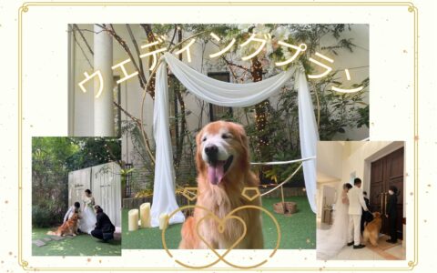 チャペルで大型犬と挙式✧結婚式ペットシッター