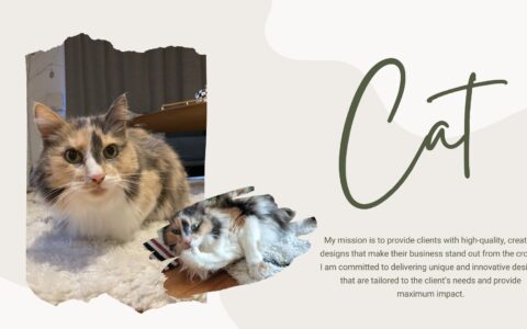 愛猫さんのお世話をお任せ♬英文での連絡、報告対応｜ペットシッター