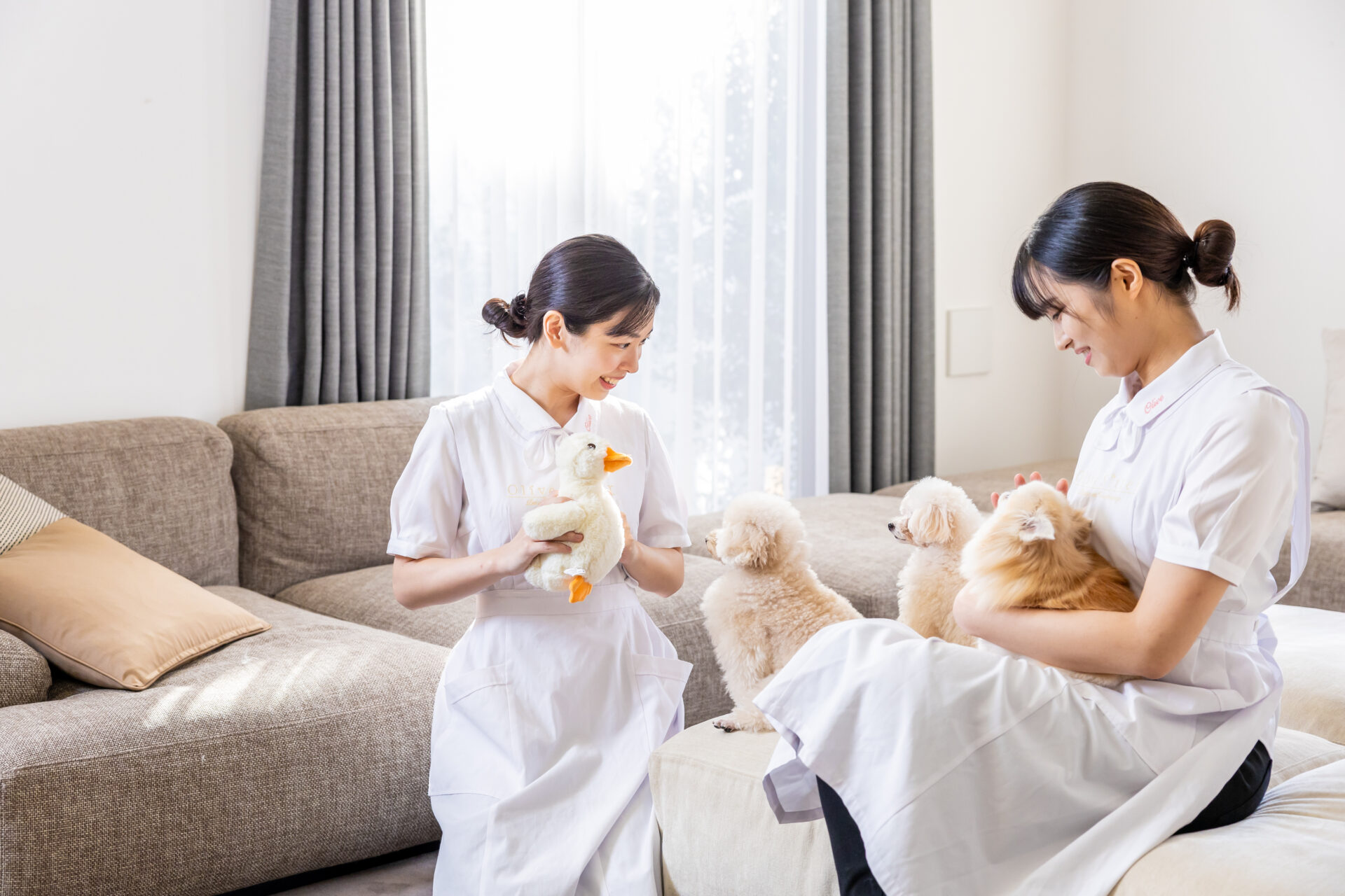 ワンランク上のペットシッターサービス